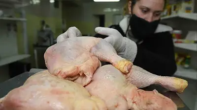 Pollo Pollo