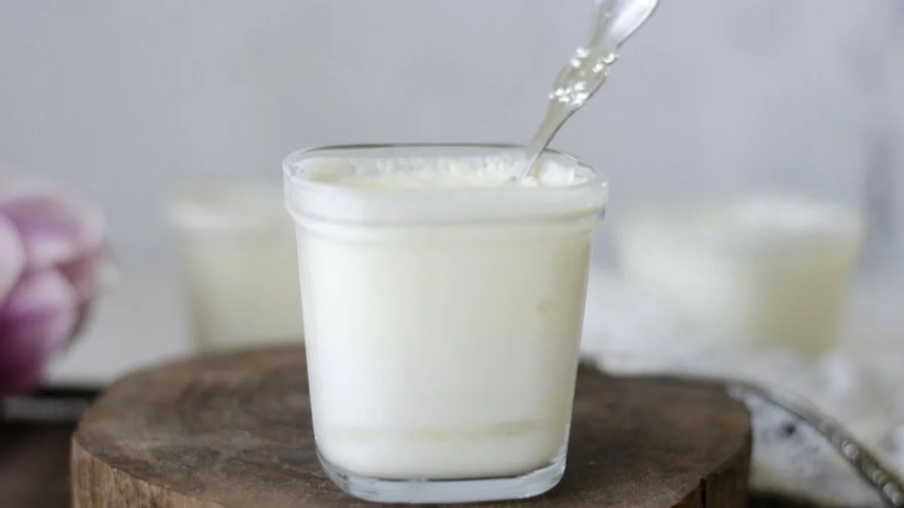 Yogurt casero