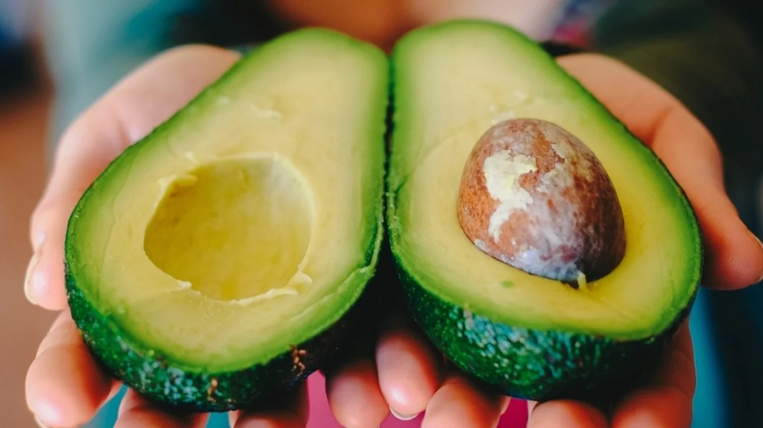 palta, cabello, pelo, belleza