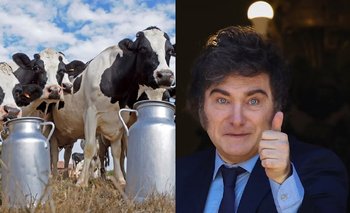 Efecto Milei: corre riesgo una de las empresas más grande del país | Crisis económica