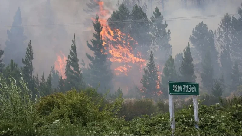 Incendios en Argentina: combaten el fuego en Epuyén y se suman dos focos en el Norte del país
