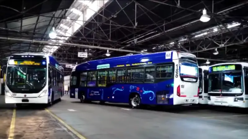 Colectivo