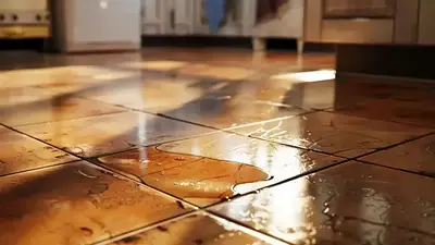 Aceite en el piso. Aceite en el piso.
