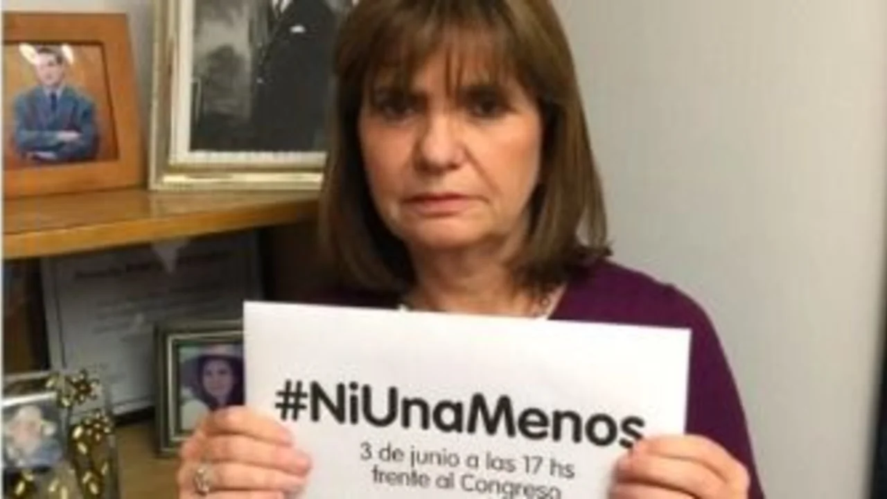"Basta de femicidios": el firme respaldo de Bullrich a la ley que ahora Milei quiere eliminar