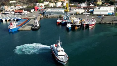 Italia reanuda los traslados de inmigrantes a centros de detención de Albania