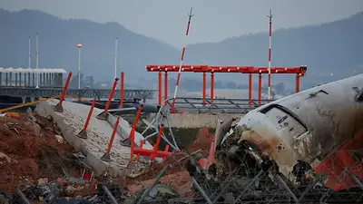 Encuentran ADN de pato en los dos motores del avión de Jeju Air que se estrelló, según un informe Encuentran ADN de pato en los dos motores del avión de Jeju Air que se estrelló, según un informe