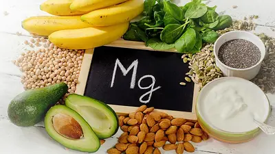 Alimentos Alimentos