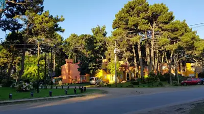 Pinos Pinos