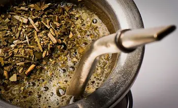 Mate amargo: la desregulación hunde a yerbateros y acelera la concentración | Economías regionales