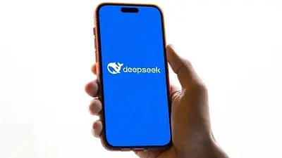 DeepSeek. DeepSeek.