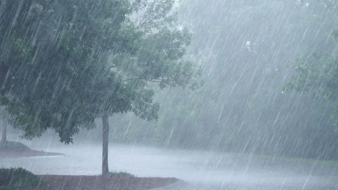Lluvias