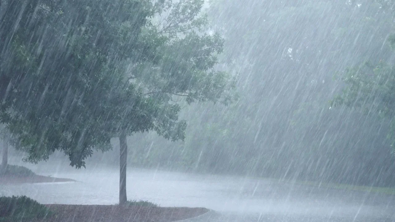 Lluvias