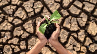 El impacto en el cambio climático: las consecuencias en la agricultura argentina
