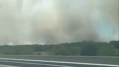 Se incendia la Reserva Natural en Berazategui y se activó un importante operativo para controlarlo Se incendia la Reserva Natural en Berazategui y se activó un importante operativo para controlarlo