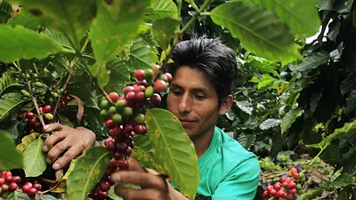 Perú aspira a exportaciones agrícolas por 40.000 millones de dólares para 2040 Perú aspira a exportaciones agrícolas por 40.000 millones de dólares para 2040