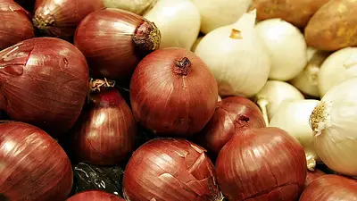 cebolla, salud, corazón cebolla, salud, corazón