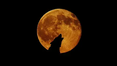 Luna Luna