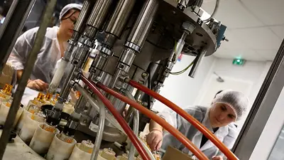 El sector manufacturero de la eurozona se hunde en la contracción a finales de año, según el PMI El sector manufacturero de la eurozona se hunde en la contracción a finales de año, según el PMI