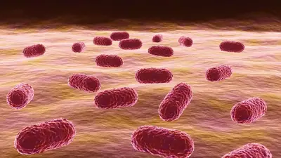 El hallazgo de científicos del Conicet que puede cambiar los tratamientos con antibióticos El hallazgo de científicos del Conicet que puede cambiar los tratamientos con antibióticos
