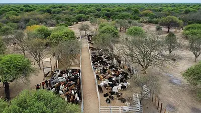 Desarrollo local y planificación: Formosa refuerza acciones junto a pequeños productores rumbo a 2026 Desarrollo local y planificación: Formosa refuerza acciones junto a pequeños productores rumbo a 2026