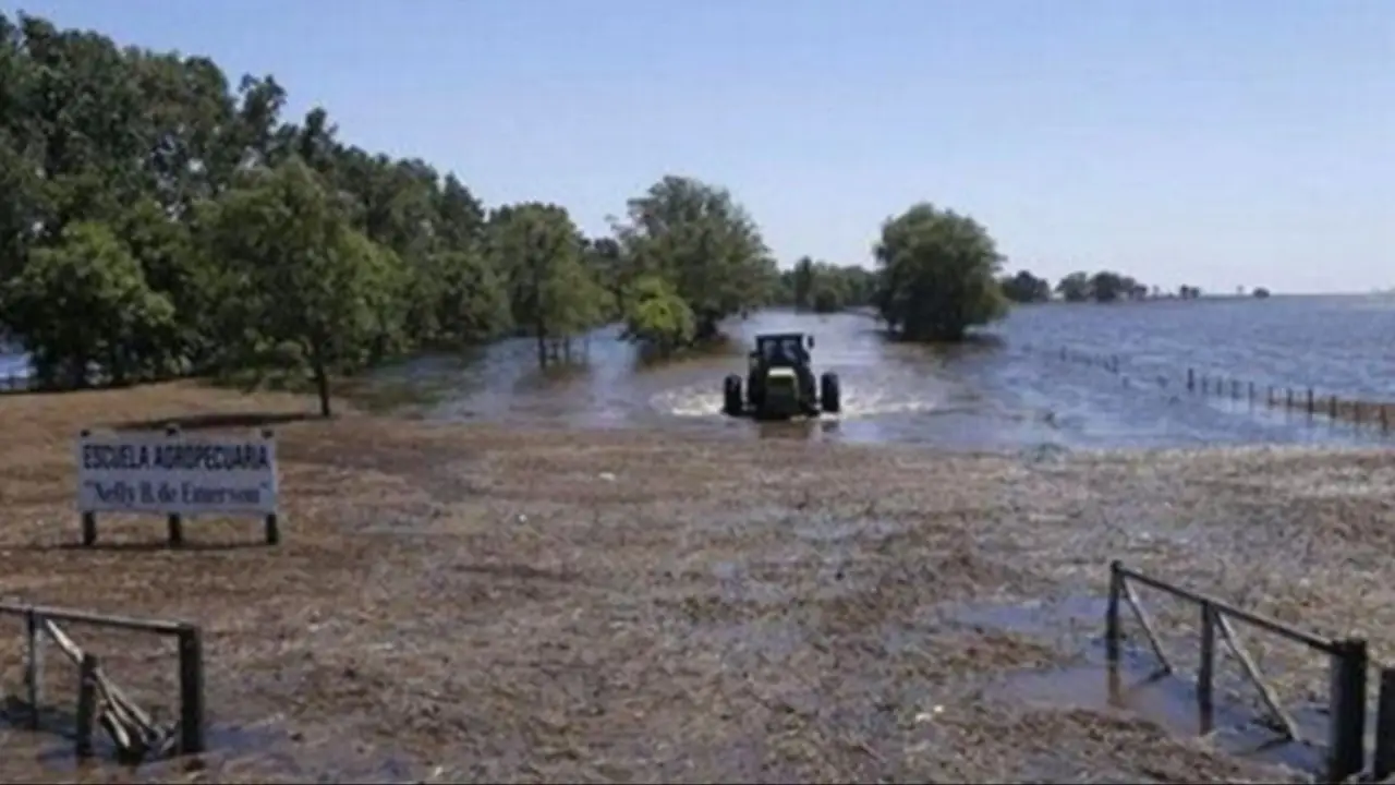 Buenos Aires decretó la "emergencia agropecuaria" de varios distritos del interior