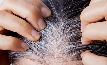 Cómo disimular las canas sin teñirte seguido: los productos que recomienda una peluquera | Belleza