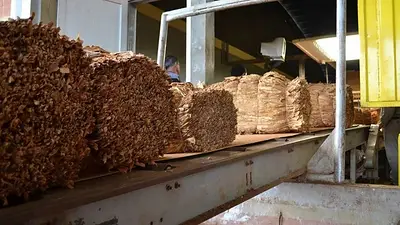 Con eje en el empleo y la producción, Misiones destinó $41.500 millones para sostener la actividad económica en 2025 Con eje en el empleo y la producción, Misiones destinó $41.500 millones para sostener la actividad económica en 2025