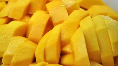 Producción local y valor nutricional: Nutrifor refuerza los programas alimentarios provinciales Producción local y valor nutricional: Nutrifor refuerza los programas alimentarios provinciales