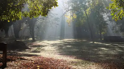 Es uno de los pulmones verdes más importantes de Buenos Aires y lo custodian guardaparques desde 1990: la escapada ideal cerca de CABA Es uno de los pulmones verdes más importantes de Buenos Aires y lo custodian guardaparques desde 1990: la escapada ideal cerca de CABA