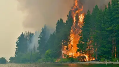 Incendio en Chubut Incendio en Chubut