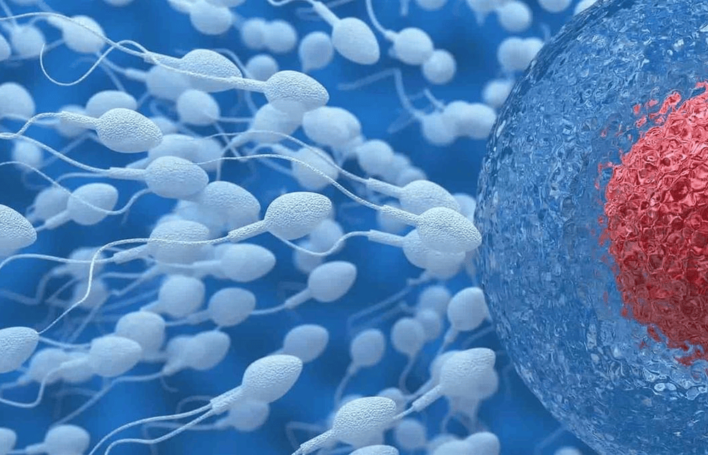 Microplásticos en la sangre, la placenta y los testículos: qué sabemos de esta amenaza que llegó para quedarse