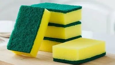 esponjas esponjas
