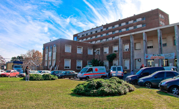 Once Provincias exigen a Milei que reanude los Consejos Federales por la salud mental | Salud pública