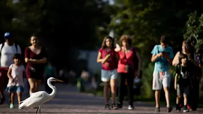 Actividades en el Ecoparque para el verano 2026: qué hacer y programación en CABA Actividades en el Ecoparque para el verano 2026: qué hacer y programación en CABA