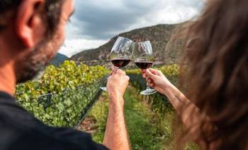 Reconocimiento al enoturismo: La Rioja fue nominada a los premios Winexplorers | Vino