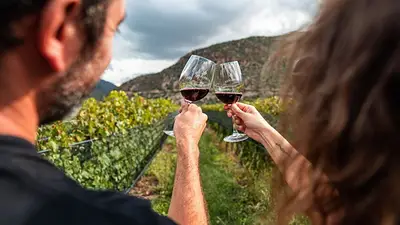 La Rioja fue nominada a los premios Winexplorers por su fortalecimiento al enoturismo: todos los detalles La Rioja fue nominada a los premios Winexplorers por su fortalecimiento al enoturismo: todos los detalles
