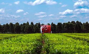 Misiones facilita la exención de Ingresos Brutos con una nueva platafforma online | Misiones