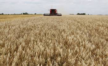 Agro y minería crecen, industria y construcción caen: el balance del modelo Milei | Libertad para el saqueo