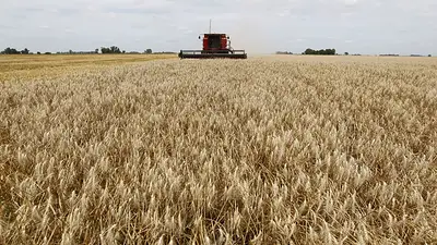 Por conflicto en Medio Oriente sube costo del agro y podría trasladarse a la góndola argentina Por conflicto en Medio Oriente sube costo del agro y podría trasladarse a la góndola argentina