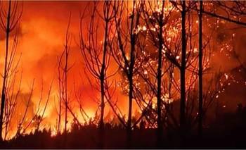 Incendios en Chubut: el fiscal dio detalles sobre el inicio del fuego | Incendios