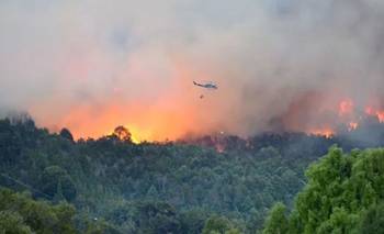 Cuando el fuego se vuelve la vida: escenas de Cholila y Epuyen | Incendios