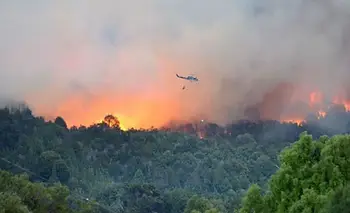 Incendios en la Patagonia: cómo es ser familiar de un brigadista que arriesga su vida | Incendios en argentina
