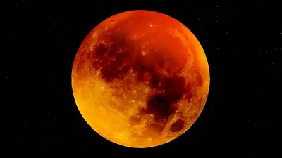 Luna Luna