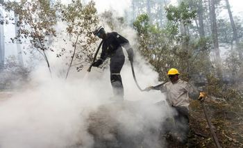 Incendios en Chubut: se esperan lluvias que alivien la Patagonia | Incendios