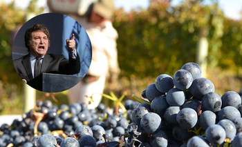 Ante el ajuste nacional, el sector vitivinícola riojano alertó por la crisis | Ajuste