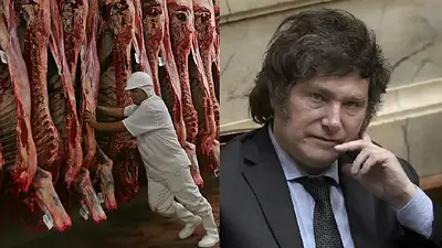 Frigorífico y Javier Milei Frigorífico y Javier Milei