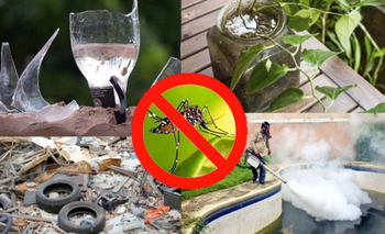 Laformed, la empresa formoseña que se volvió un pilar en la lucha contra el dengue  | Dengue