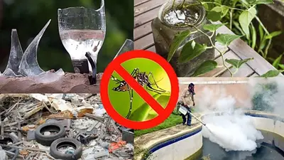 Laformed, la empresa formoseña que se volvió un pilar en la prevención del dengue con sus larvicidas y repelentes Laformed, la empresa formoseña que se volvió un pilar en la prevención del dengue con sus larvicidas y repelentes