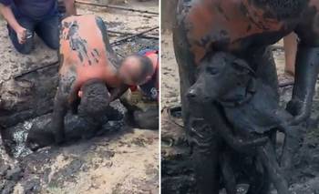 "Capitán": el perro de tres meses cayó a un desague pero lograron rescatarlo | Villa gobernador gálvez
