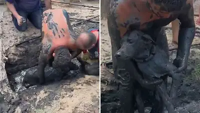Preocupación y alegría por "Capitán": un perro de tres meses cayó a un desague pero lograron rescatarlo Preocupación y alegría por "Capitán": un perro de tres meses cayó a un desague pero lograron rescatarlo